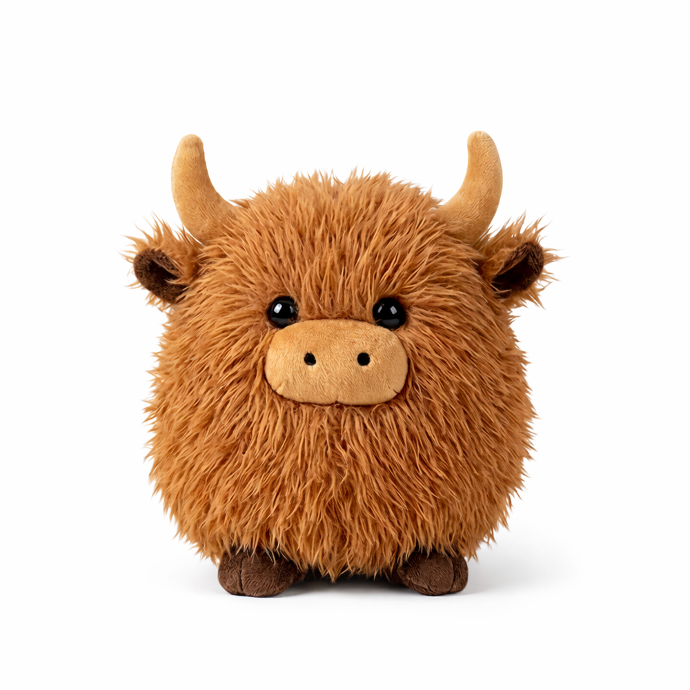 Krowa Highland - T50